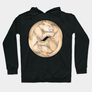 Yin-Yang Cats: Cream Hoodie